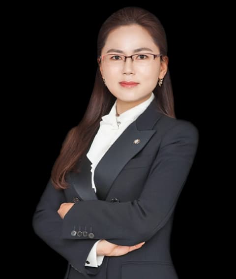 대구부패방지변호사 undefined