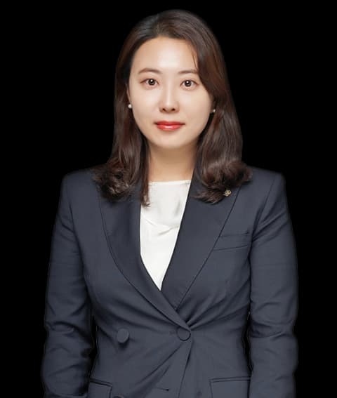 대구친권/양육권/면접교섭권변호사 undefined
