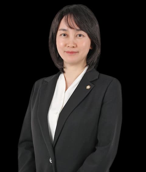 대구명예훼손·허위사실유포변호사 undefined